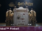 Embedded thumbnail for Zwerkbal™ flipperkast Harry Potter