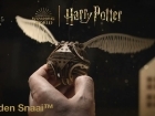 Embedded thumbnail for NEW Gouden Snaai™ Harry Potter